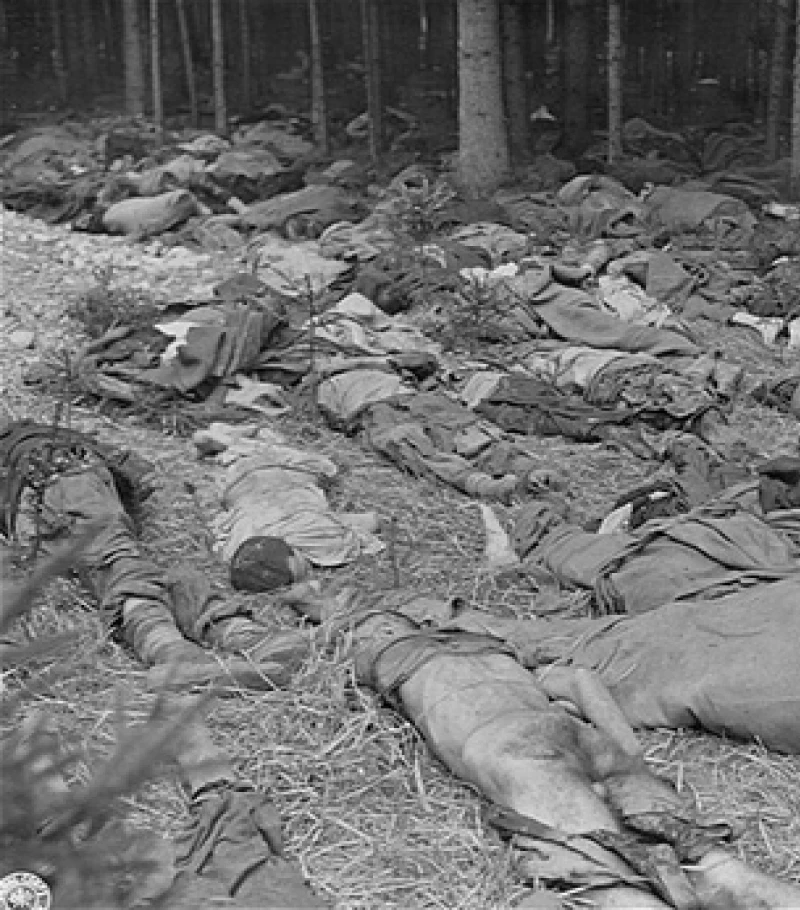 Home, Hohensinn Architektur