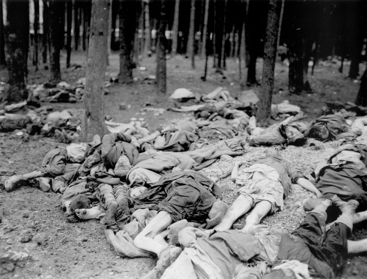 Leichen ehemaliger Häftlinge in Wald des KZ-Außenlagers Gunskirchen. Aufgenommen kurz nach der Befreiung. – United States Holocaust Memorial Museum Photo Archives: #77164, Copyright: Public Domain